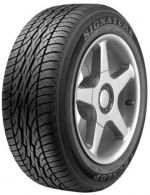 Nejv�t�� obr�zek v�robkuDunlop SIGNATURE 205/65 R15 92T R