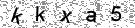 Opi�te k�d z obr�zku